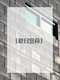 夏日赏荷