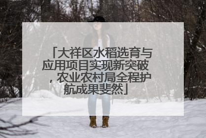 大祥区水稻选育与应用项目实现新突破，农业农村局全程护航成果斐然