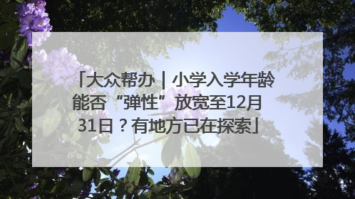 大众帮办｜小学入学年龄能否“弹性”放宽至12月31日？有地方已在探索