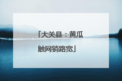 大关县：黄瓜触网销路宽