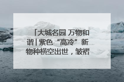 大城名园 万物和谐│紫色“高冷”新物种横空出世，皱褶叶片暗藏进化密码