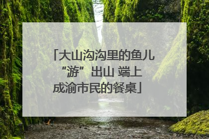 大山沟沟里的鱼儿 “游”出山 端上成渝市民的餐桌