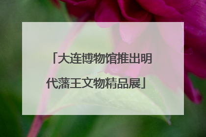 大连博物馆推出明代藩王文物精品展