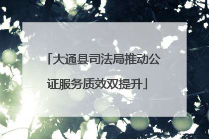 大通县司法局推动公证服务质效双提升