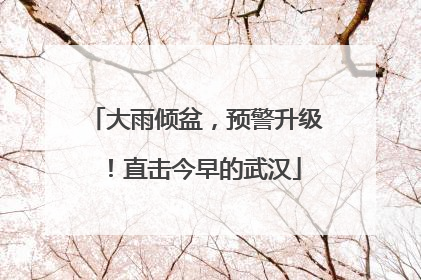 大雨倾盆，预警升级！直击今早的武汉