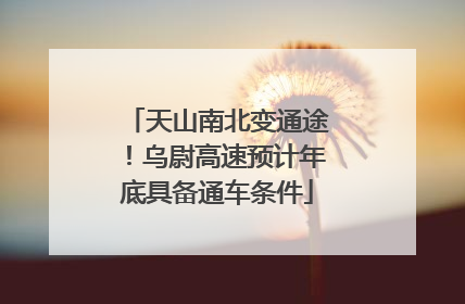 天山南北变通途！乌尉高速预计年底具备通车条件