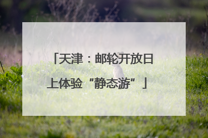 天津：邮轮开放日上体验“静态游”