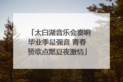 太白湖音乐会奏响毕业季最强音 青春赞歌点燃夏夜激情