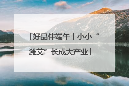 好品伴端午丨小小“潍艾”长成大产业