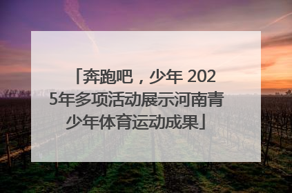 奔跑吧，少年 2025年多项活动展示河南青少年体育运动成果