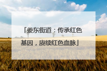 娄东街道：传承红色基因，赓续红色血脉