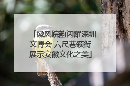 徽风皖韵闪耀深圳文博会 六尺巷领衔展示安徽文化之美