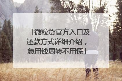 微粒贷官方入口及还款方式详细介绍，急用钱周转不用慌