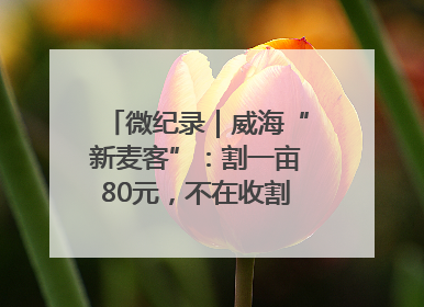 微纪录｜威海“新麦客”：割一亩80元，不在收割就是在收割路上