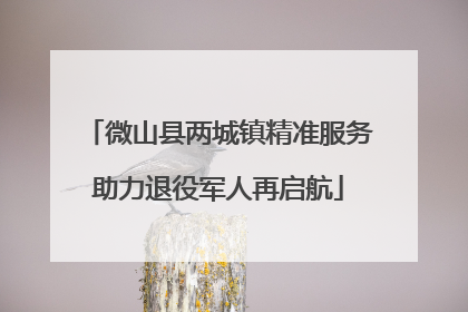 微山县两城镇精准服务助力退役军人再启航