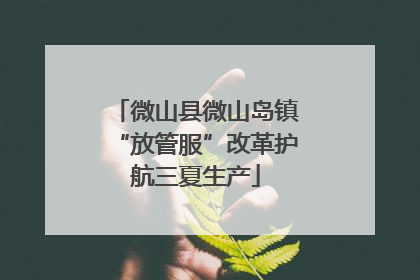 微山县微山岛镇“放管服”改革护航三夏生产