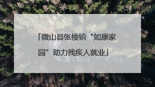 微山县张楼镇“如康家园”助力残疾人就业