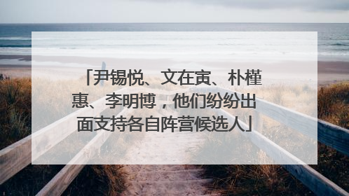 尹锡悦、文在寅、朴槿惠、李明博，他们纷纷出面支持各自阵营候选人