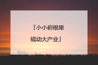 小小碧根果撬动大产业