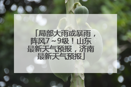 局部大雨或暴雨，阵风7～9级！山东最新天气预报，济南最新天气预报