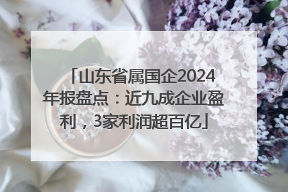 山东省属国企2024年报盘点：近九成企业盈利，3家利润超百亿