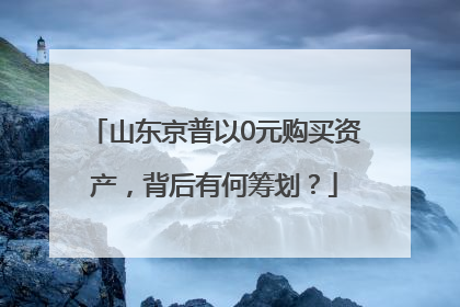 山东京普以0元购买资产，背后有何筹划？