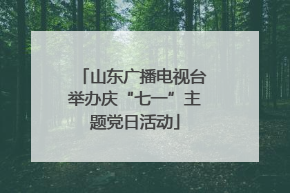 山东广播电视台举办庆“七一”主题党日活动