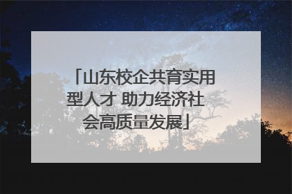 山东校企共育实用型人才 助力经济社会高质量发展