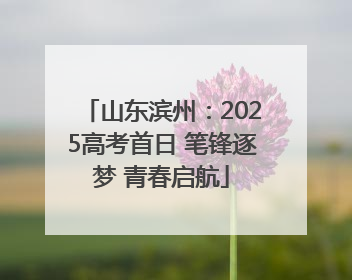 山东滨州：2025高考首日 笔锋逐梦 青春启航
