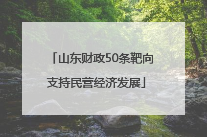 山东财政50条靶向支持民营经济发展