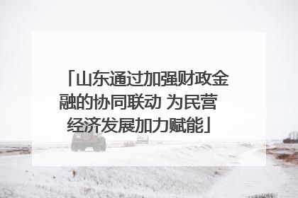 山东通过加强财政金融的协同联动 为民营经济发展加力赋能