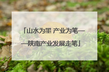 山水为墨 产业为笔——陕南产业发展走笔