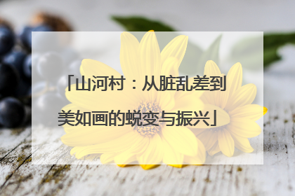 山河村：从脏乱差到美如画的蜕变与振兴