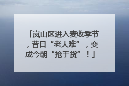 岚山区进入麦收季节，昔日“老大难”，变成今朝“抢手货”！