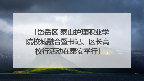 岱岳区 泰山护理职业学院校城融合暨书记、区长高校行活动在泰安举行
