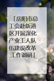 岳阳市总工会赴新港区开展深化产业工人队伍建设改革工作调研