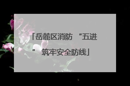 岳麓区消防 “五进” 筑牢安全防线