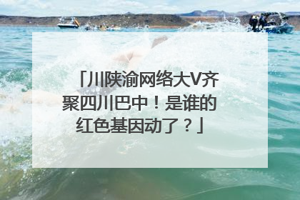 川陕渝网络大V齐聚四川巴中！是谁的红色基因动了？