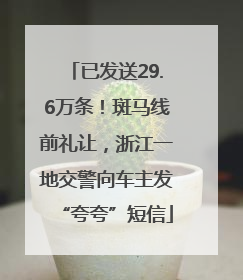 已发送29.6万条！斑马线前礼让，浙江一地交警向车主发“夸夸”短信