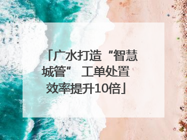 广水打造“智慧城管” 工单处置效率提升10倍