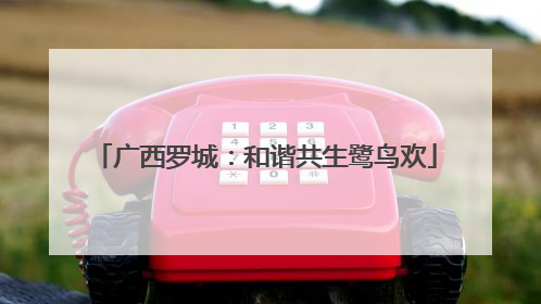 广西罗城：和谐共生鹭鸟欢