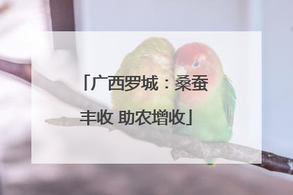 广西罗城：桑蚕丰收 助农增收