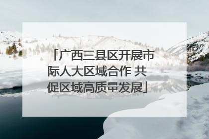 广西三县区开展市际人大区域合作 共促区域高质量发展