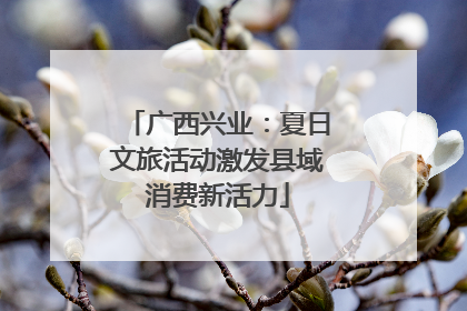 广西兴业：夏日文旅活动激发县域消费新活力