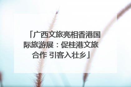 广西文旅亮相香港国际旅游展：促桂港文旅合作 引客入壮乡