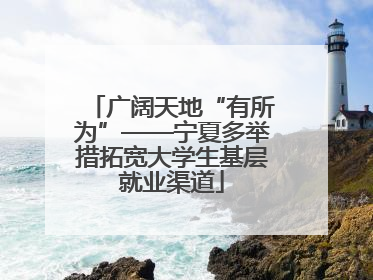 广阔天地“有所为”——宁夏多举措拓宽大学生基层就业渠道