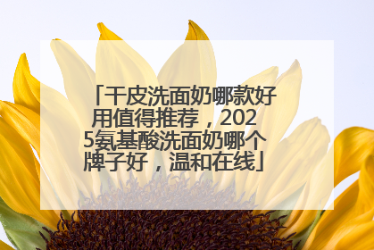 干皮洗面奶哪款好用值得推荐，2025氨基酸洗面奶哪个牌子好，温和在线