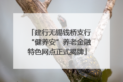 建行无锡钱桥支行“健养安”养老金融特色网点正式揭牌