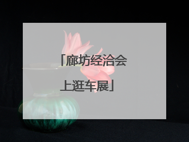 廊坊经洽会上逛车展