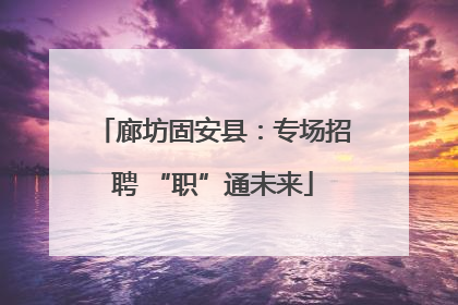 廊坊固安县：专场招聘 “职”通未来